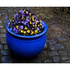 Slika 75.421.38 Niska posuda okruglog oblika - kobalt