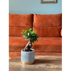 Slika 05.291.14 Posuda za biljke cilindar - siva/zlatna