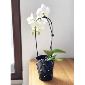 Slika 02.693.14 Posuda okruglog oblika - crna