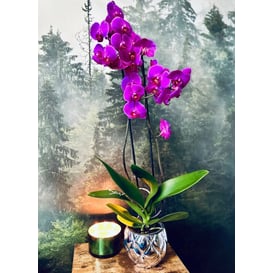 Slika 02.704.16 Posuda okruglog oblika - srebrna