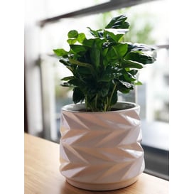 Slika 05.185.15 Posuda u obliku cilindra - bijela