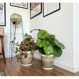 Slika 01.521. 18/22/26 Set od tri posude okruglog oblika sa podlogom - smeđa/maslinasta/bijela