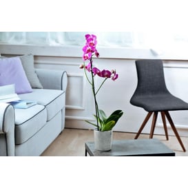 Picture of 48.030.13 Posuda okruglog oblika - srebrna