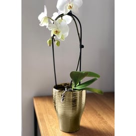 Picture of 31.121.18 Posuda okruglog oblika - zlatnaa