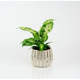 Slika 05.295.16 Posuda okruglog oblika - zlatna