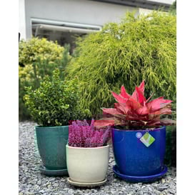 Slika 28.028.41 Velika posuda okruglog oblika sa podlogom - krem