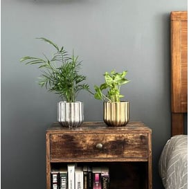 Slika 05.362.14 Posuda okruglog oblika  - staro zlato