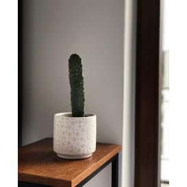 Slika 05.257.14 Posuda u obliku cilindrae - bijela