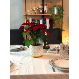 Slika 05.248.14 Posuda u obliku cilindra - zlatna