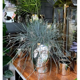 Slika 04.098.20 Posuda za cvijeće u obliku glave - zlatna