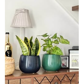 Picture of 07.141.15 Posuda okruglo oblika - tirkizna