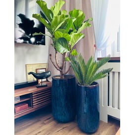 Slika 01.520. 54/59 Set od dvije posude okruglog oblika - plava