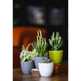 Slika 71.022.07 Posuda četvrtastog oblika - zelena