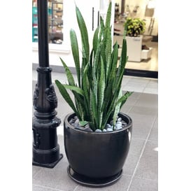 Slika 28.001.23 Posuda okruglog oblika sa podlogom - crna