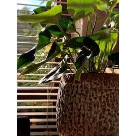 Picture of 44.019.16 Posuda okruglog oblika