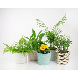 Picture of 39.048.15 Posuda u obliku cilindra - bijela