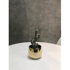 Picture of 08.105.15 Posuda okruglog oblika - zlatna