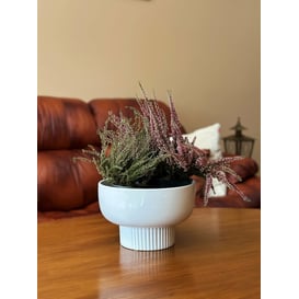 Slika 15.020.25 Posuda kružnog oblika - bijela