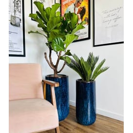 Slika 01.520. 54/59 Set od dvije posude okruglog oblika - plava