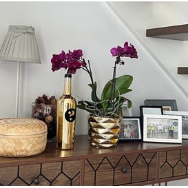 Slika 02.628.15 Posuda okruglog oblika - zlatna