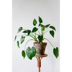 Slika ITA posuda "Vaso Standard" 78cm - grafit