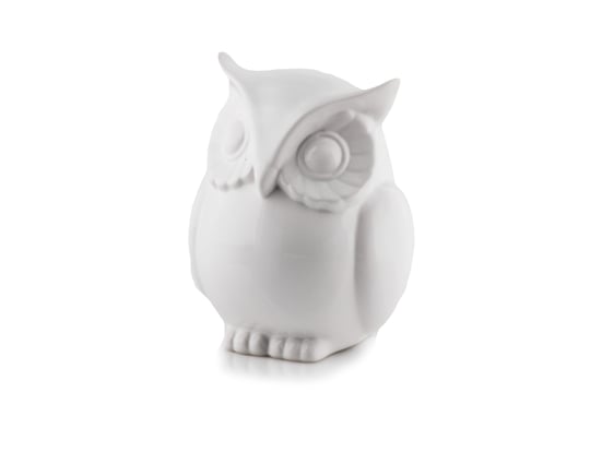 Slika 02.539 Sova - bijela