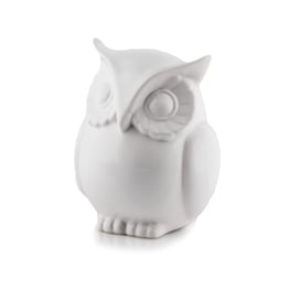 Slika 02.539 Sova - bijela