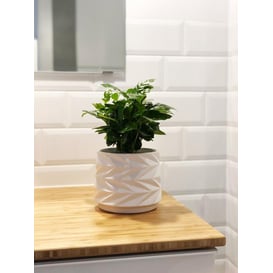 Slika 05.185.15 Posuda u obliku cilindra - bijela