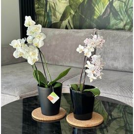 Slika 71.082.13 Posuda okruglog oblika - crna mat