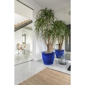 Picture of 75.401 Velika posuda okruglog oblika i zadebljanog ruba - kobalt