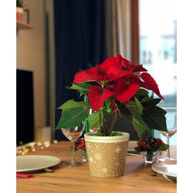 Slika 39.065.14 Posuda okruglog oblika