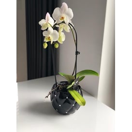 Slika 02.695.16 Posuda okruglog oblika - black