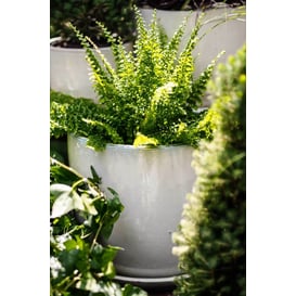 Slika 28.028.41 Velika posuda okruglog oblika sa podlogom - krem