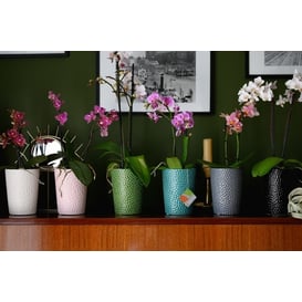 Slika 05.318.13 Posuda okruglog oblika - tirkizna