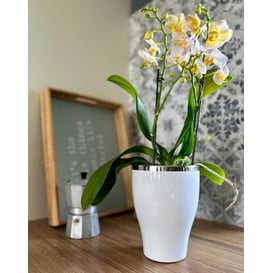 Slika 31.039.18 Posuda okruglog oblika - bijela