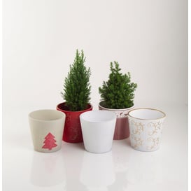 Slika 71.061.14 Posuda okruglog oblika - bronca