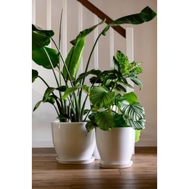 Slika 01.001. 26/31/38 Set od tri posude okruglog oblika sa podlogom - bijela