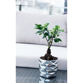 Slika 02.627.15 Posuda okruglog oblika - srebrna