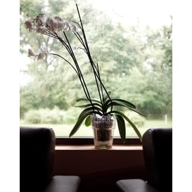 Slika 50.001.14 Posuda okruglog oblika - prozirna