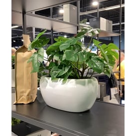 Slika 31.022.27 Posuda ovalnog oblika - bijela