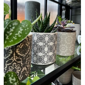 Picture of 35.059.14 Posuda okruglog oblika - MIX uzoraka