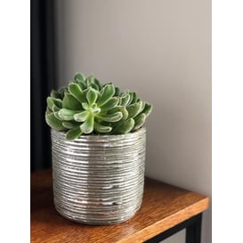 Slika 05.193.14 Posuda okruglog oblika - staro srebro