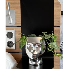 Slika 04.097.20 Posuda u obliku glave - srebrna