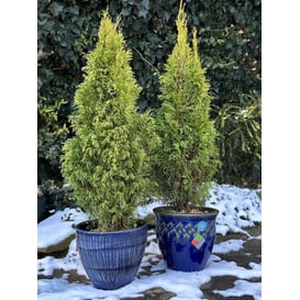 Picture of 79.013.25/30/37 Set od tri posude - plava