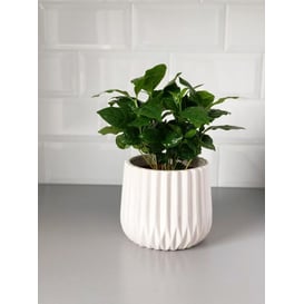 Slika 02.690.16 Posuda kružnog oblika - bijela