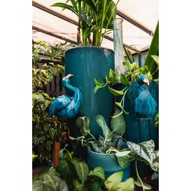 Slika 09.117.52 Flamingo - tirkizna