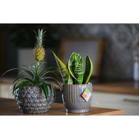 Slika 05.336.14 Posuda okruglog oblika - svijetlo plava, siva