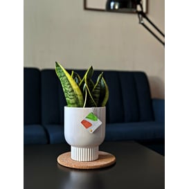 Slika 15.019.13 Posuda kružnog oblika - bijela