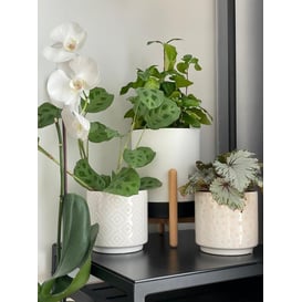 Slika 05.257.14 Posuda u obliku cilindrae - bijela