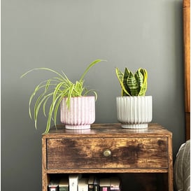 Slika 05.338.15 Posuda okruglog oblika - pink